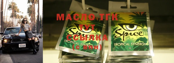индика Горнозаводск