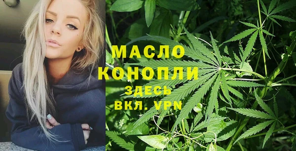 2c-b Горно-Алтайск