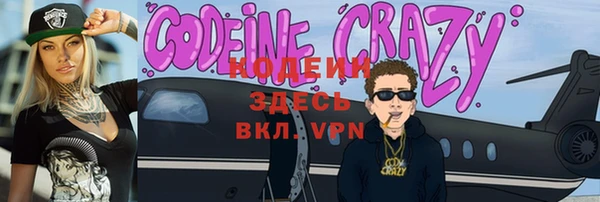 шишки Горняк