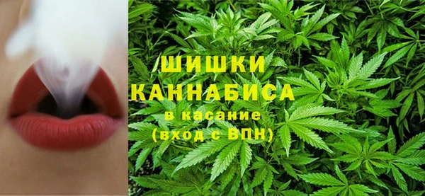 индика Горнозаводск