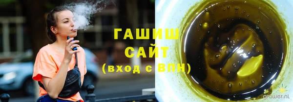 шишки Горняк