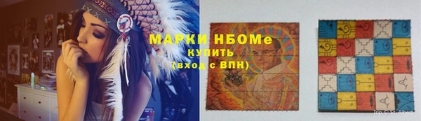 шишки Горняк