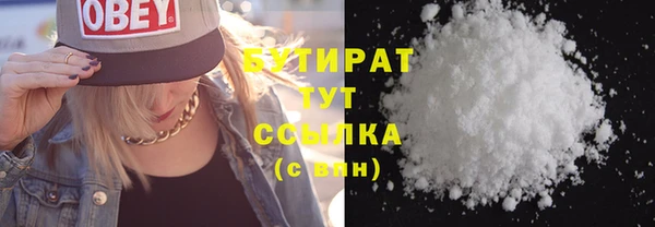 индика Щигры