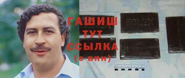 шишки Горняк