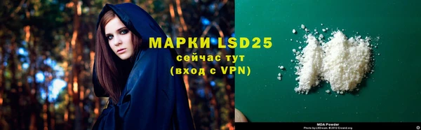 индика Горнозаводск