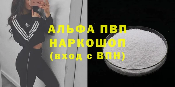 шишки Горняк