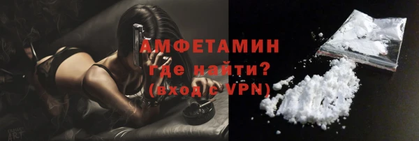 индика Горнозаводск