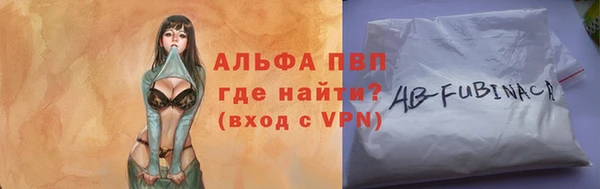 индика Горнозаводск