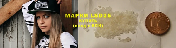 индика Горнозаводск