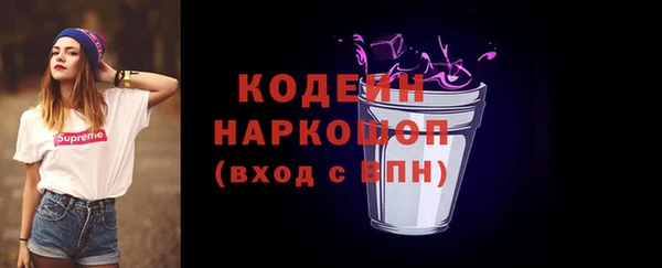 шишки Горняк