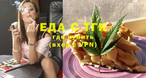 индика Горнозаводск