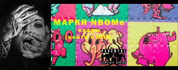 индика Горнозаводск