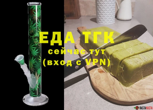 шишки Горняк