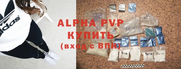 шишки Горняк