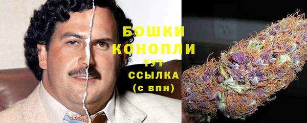 2c-b Горно-Алтайск