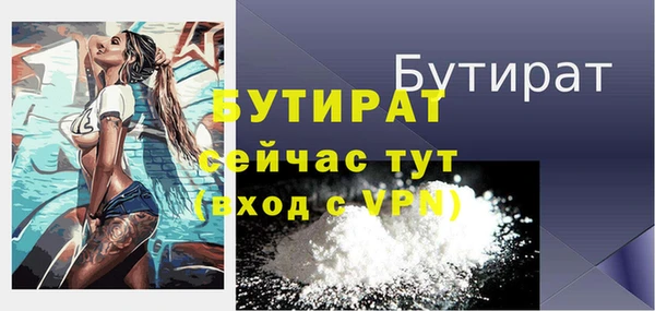 индика Горнозаводск