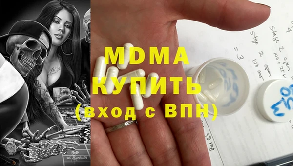 шишки Горняк