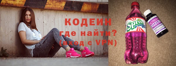 индика Горнозаводск