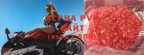 индика Горнозаводск