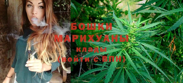 шишки Горняк