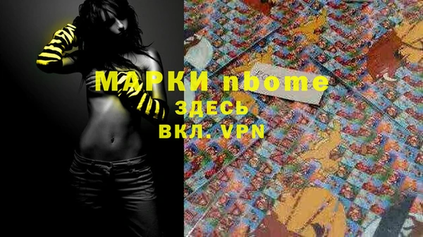 индика Горнозаводск