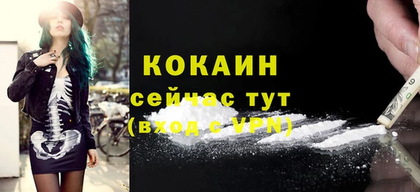 шишки Горняк