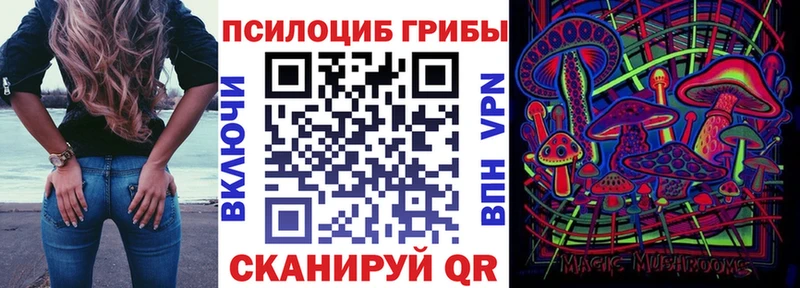 как найти закладки Новосокольники Галлюциногенные грибы GOLDEN TEACHER