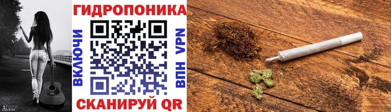 MEGA сайт  купить  сайты  Новосокольники  Бошки Шишки семена 